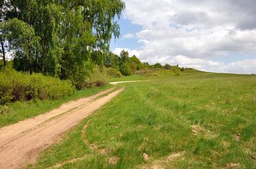 Naturschutzgebiet Wacholderberg